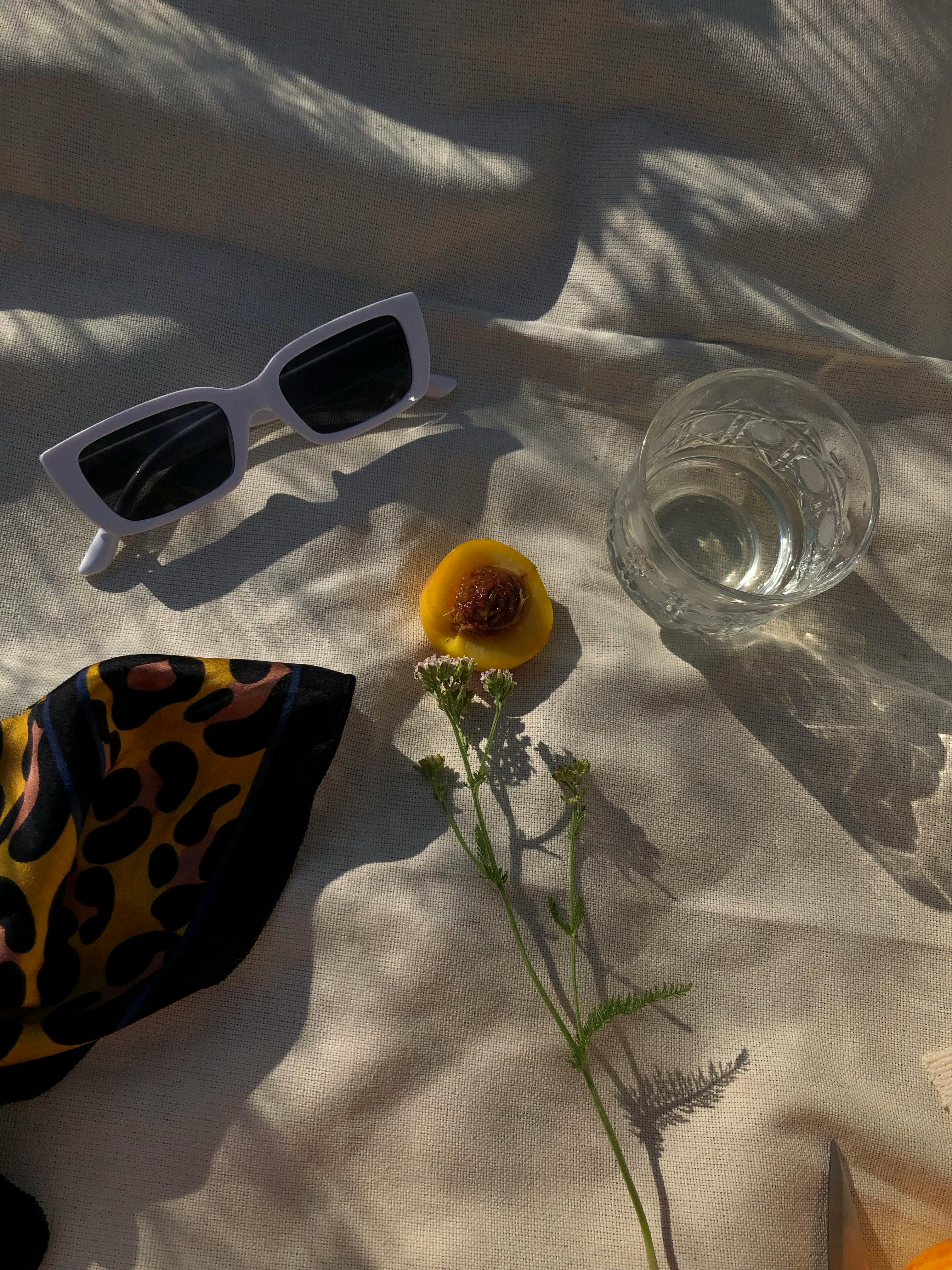 Assorted sunglasses frames in warm and cool tones on a neutral background